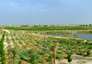 محمية روح الصحراء