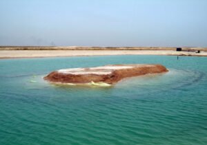 محمية واحة الكويت