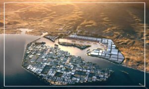 الفرنشايز الأخضر