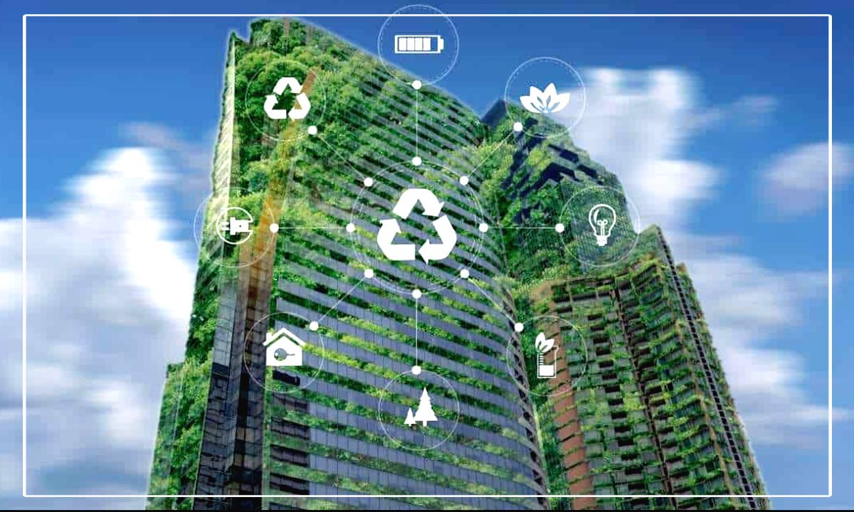 فرنشايز أرامكو الأخضر